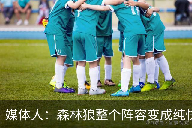 媒体人：森林狼整个阵容变成纯快节奏抢投了 球队也梭哈了