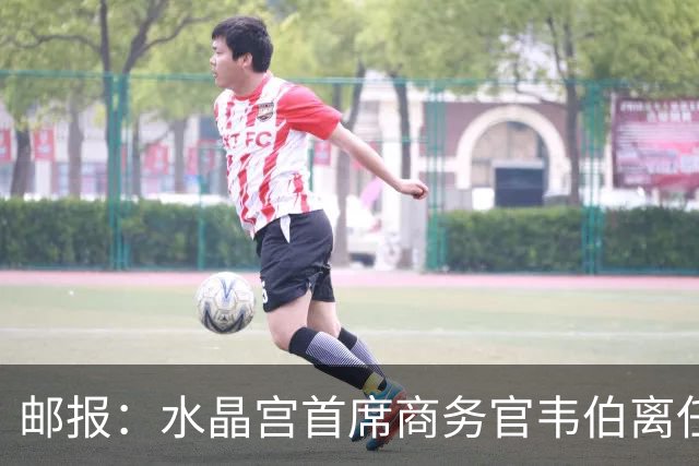 邮报：水晶宫首席商务官韦伯离任，将出任卢顿总经理